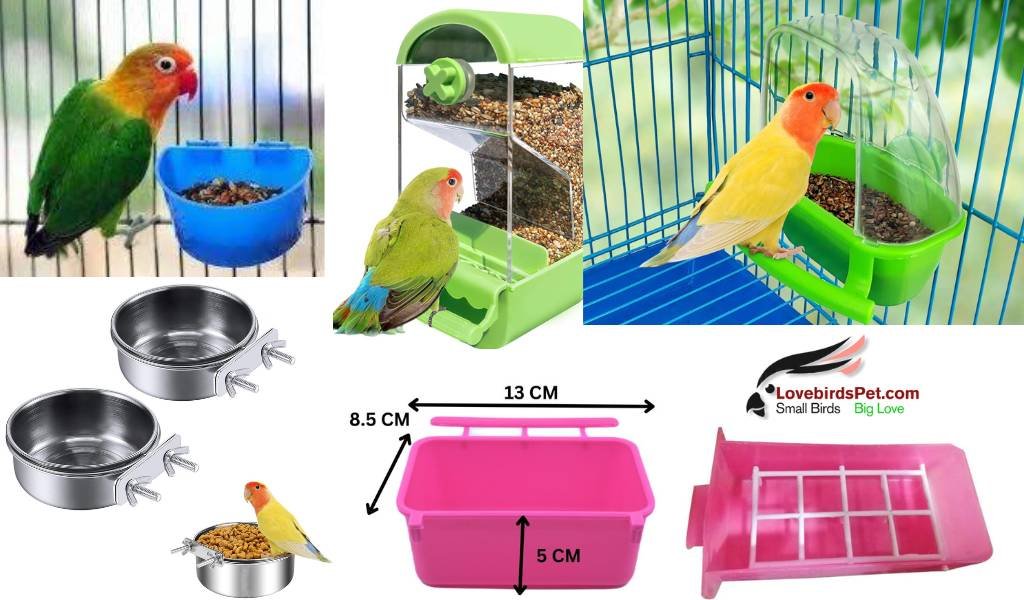 lovebirds feeders