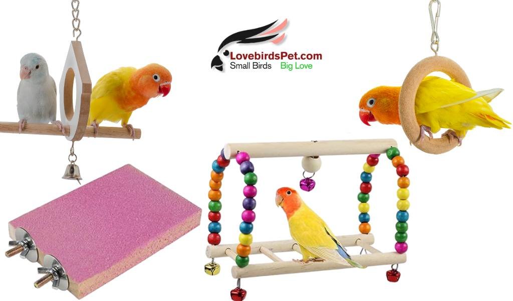 lovebirds toys