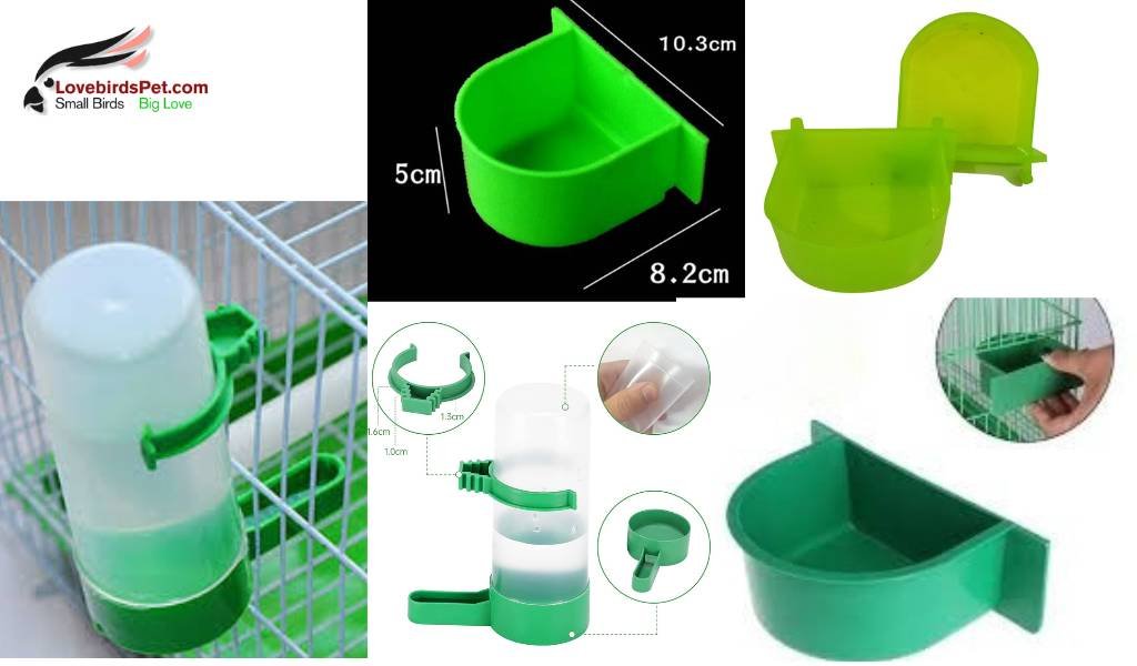 lovebirds water bowls