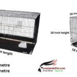 lovebird cage size